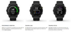 large FORERUNNER 745 GARMIN BALIDIVESHOP 4